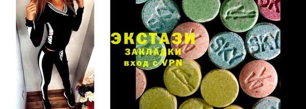 индика Медногорск