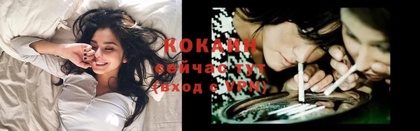 индика Медногорск