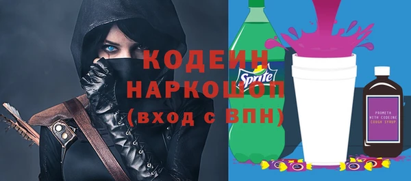 индика Медногорск