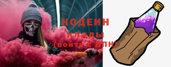 индика Медногорск