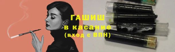 индика Медногорск