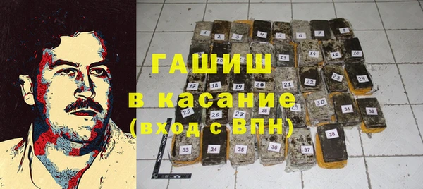 индика Медногорск