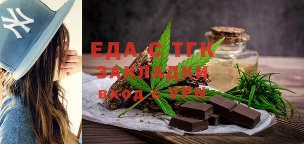 индика Медногорск