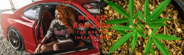 индика Медногорск