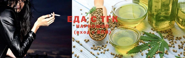 индика Медногорск