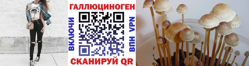 купить наркотик Пучеж Галлюциногенные грибы мухоморы